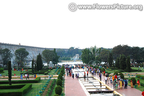 Ooty lake