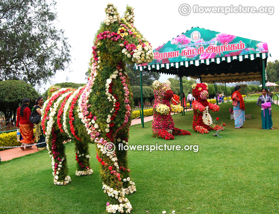 Rose garden flower show floral animals